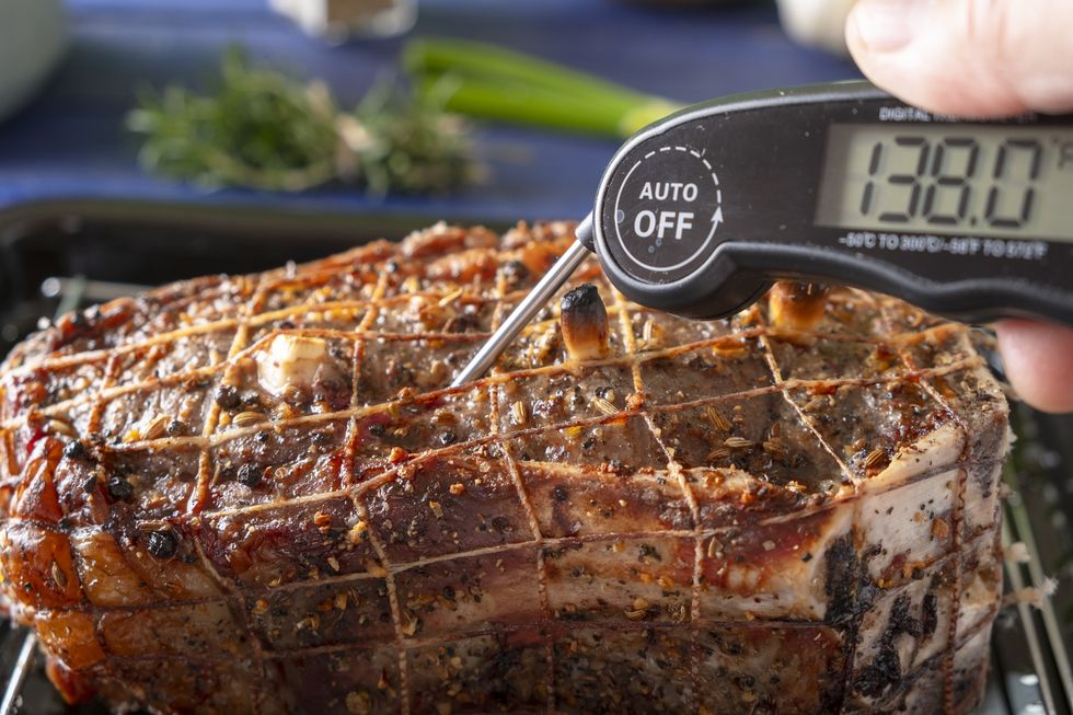 The 10 Best Meat Thermometers for Every Skill Level and Budget