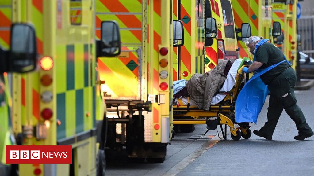Covid: UK death rate ‘no longer Europe’s worst’ by winter