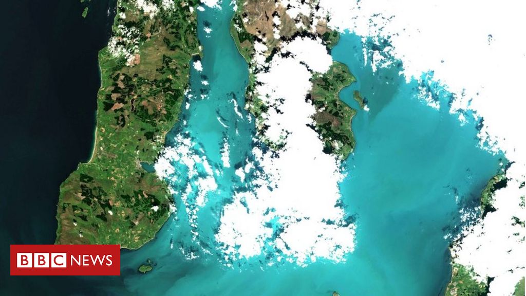 Why has the sea off Scotland turned turquoise?