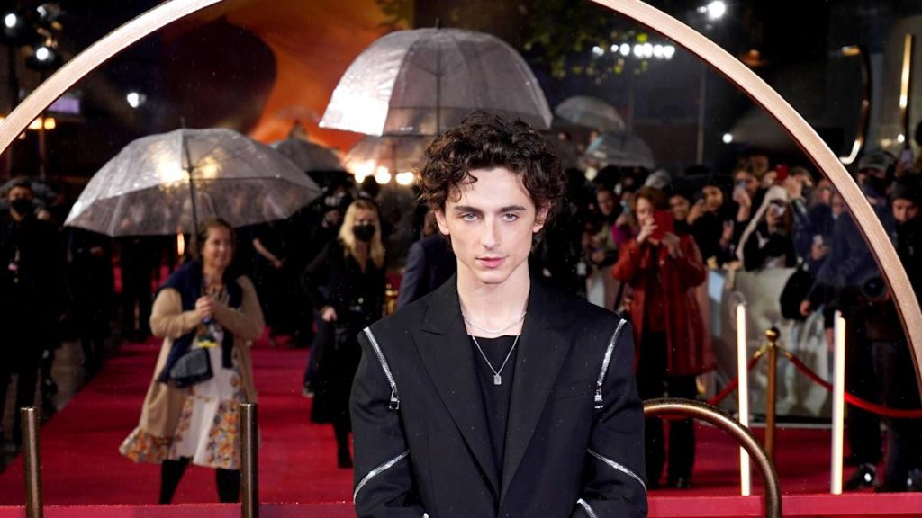 Timothee Chalamet on the pressures of being a young Hollywood star