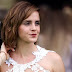 Emma Watson pro-Palestinian post sparks antisemitism row