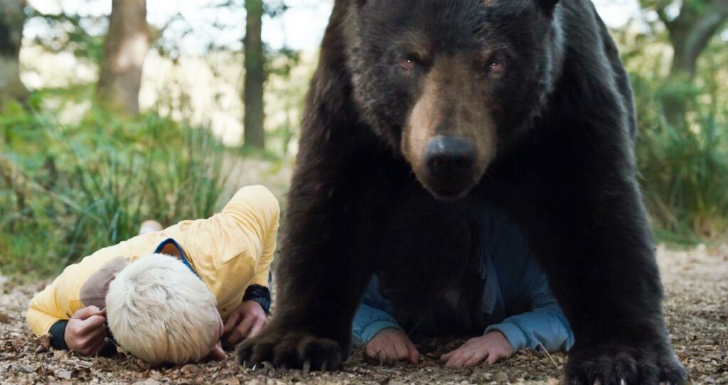 Cocaine Bear: The unbelievable true story behind the film